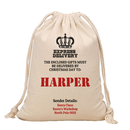 Santa Sack - Express Delivery