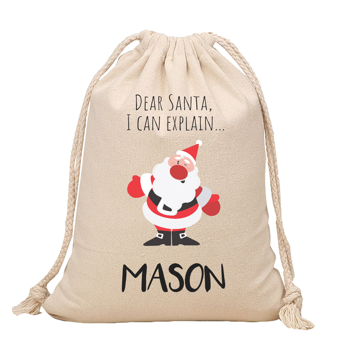 Santa Sack - I Can Explain